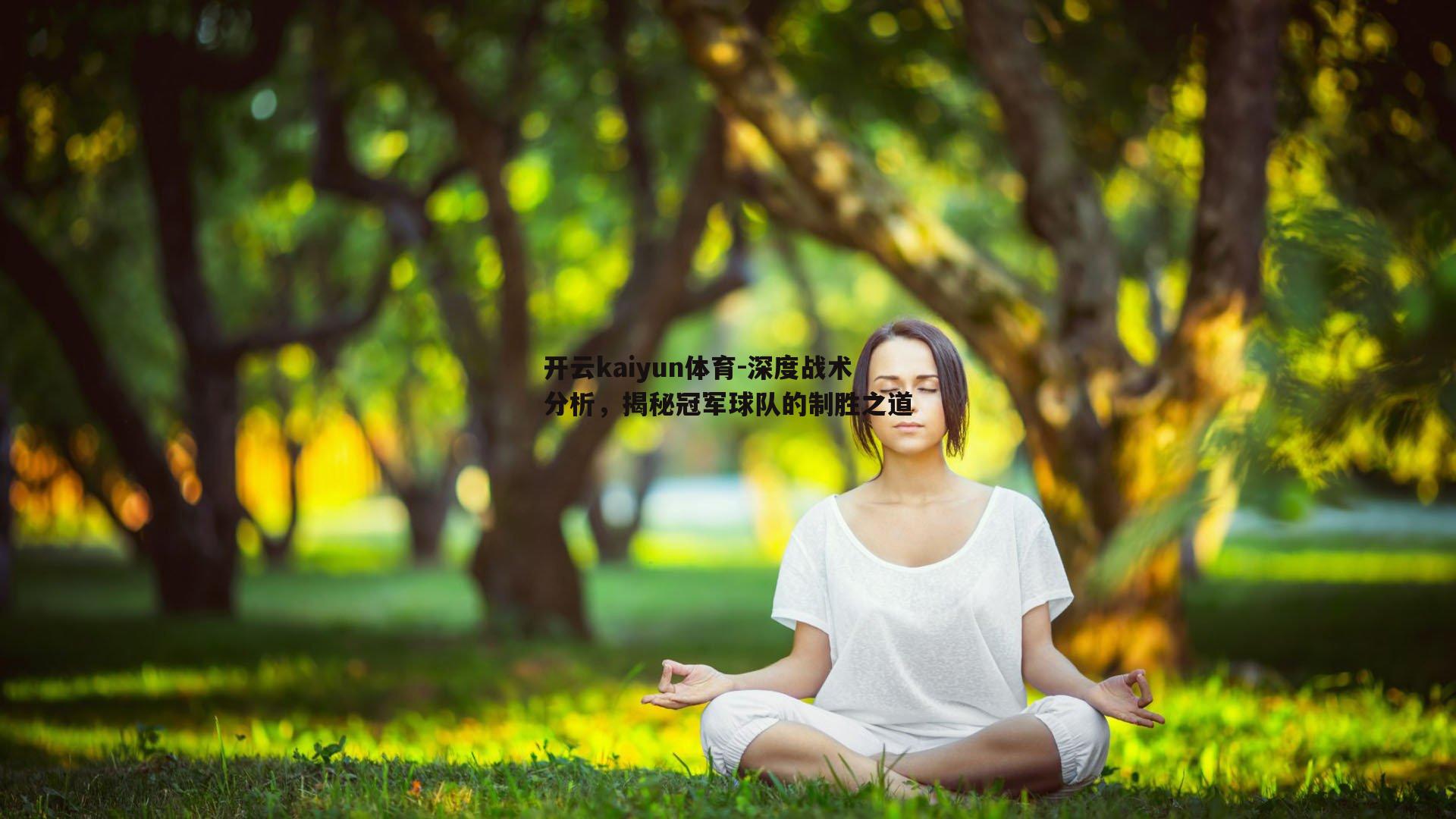深度战术分析，揭秘冠军球队的制胜之道